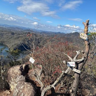 東大岩ケ岳ピーク