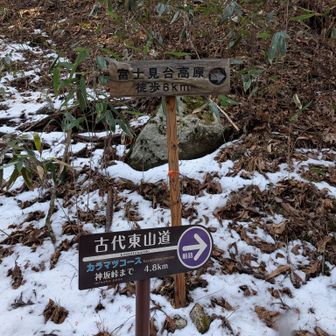 降りて来ました。