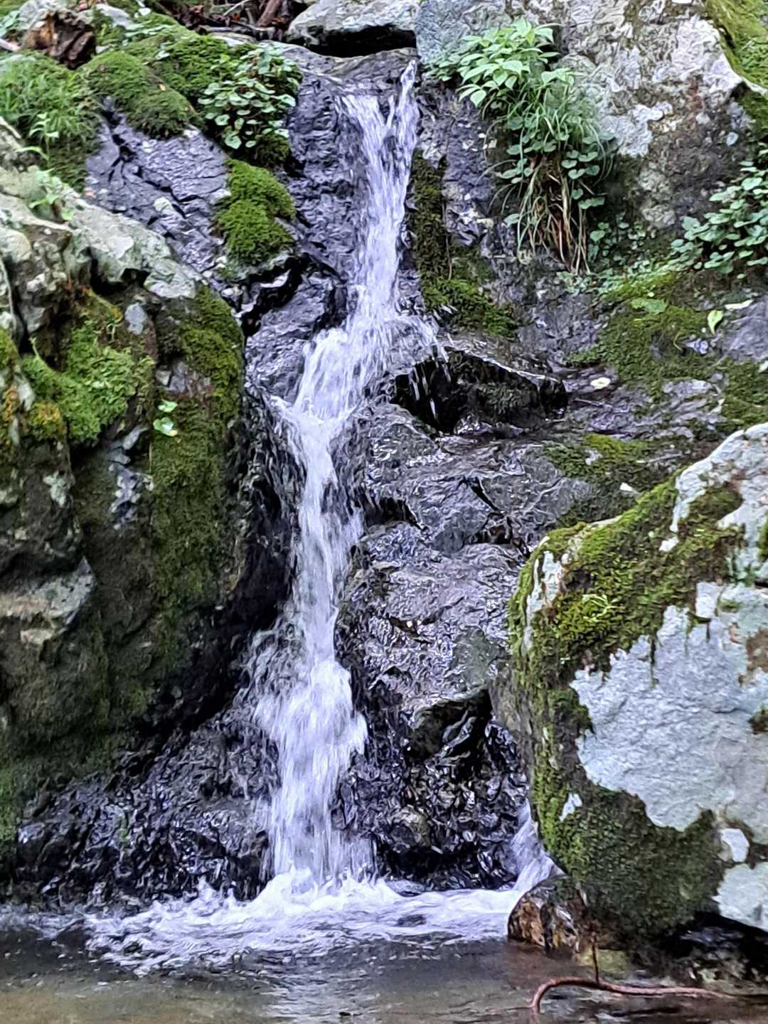 小さな滝に涼を求めたり…
とても気持ちの良い冷風で汗が
すーと引きました😁
ゴール地点の🅿🚗も後少しです。

アクシデントもありましたが無事にゴールしました。