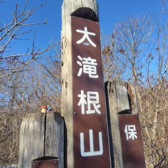 とても大きな山名標
きのこ部ガイドのKENさんがここでYAMAP1200座記録です🥳