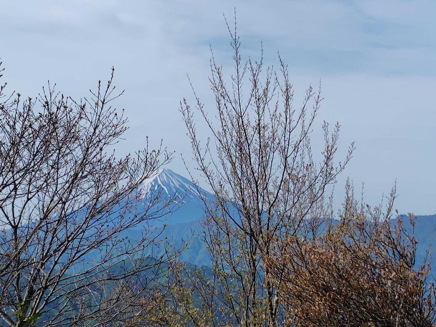 柳沢ノ頭からの富士山