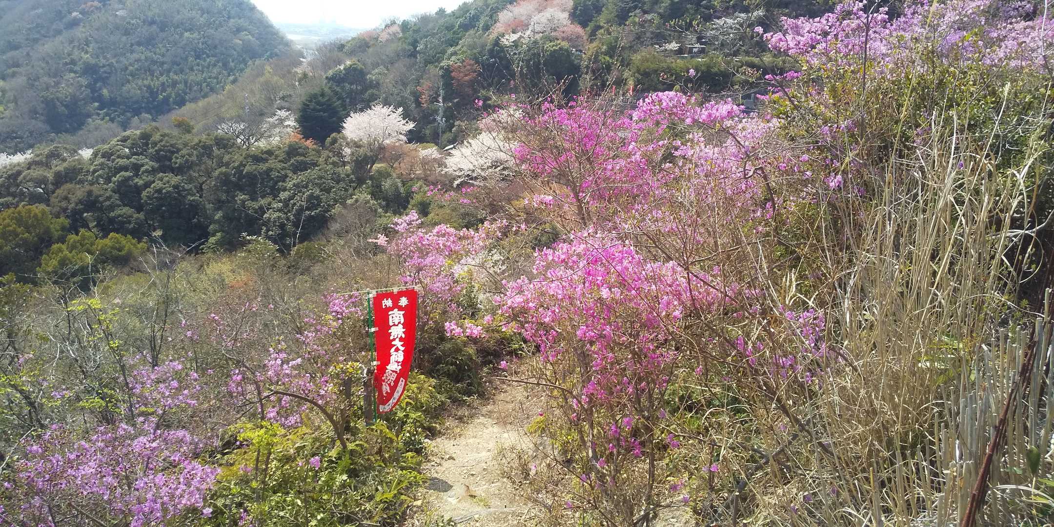 この中を歩く