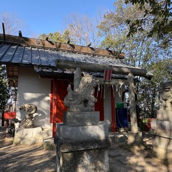 こんぴら山
高尾駅から歩いてきて、登山口から急登でした。