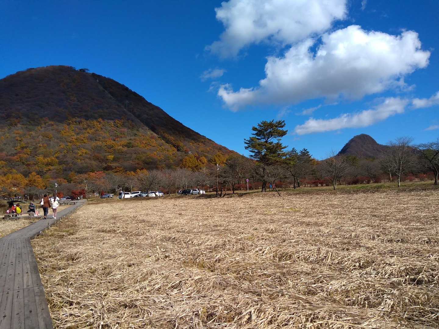 一周してきました