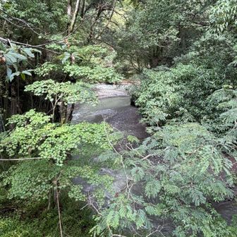 よ〜く見るとジグザグの川