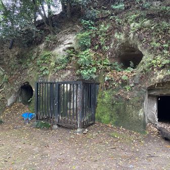 凝灰岩の斜面に掘られた横穴で、壁面に騎馬人物像の線刻壁画や陶棺が確認されており、大阪府指定史跡（第35号）に指定されていまつ。