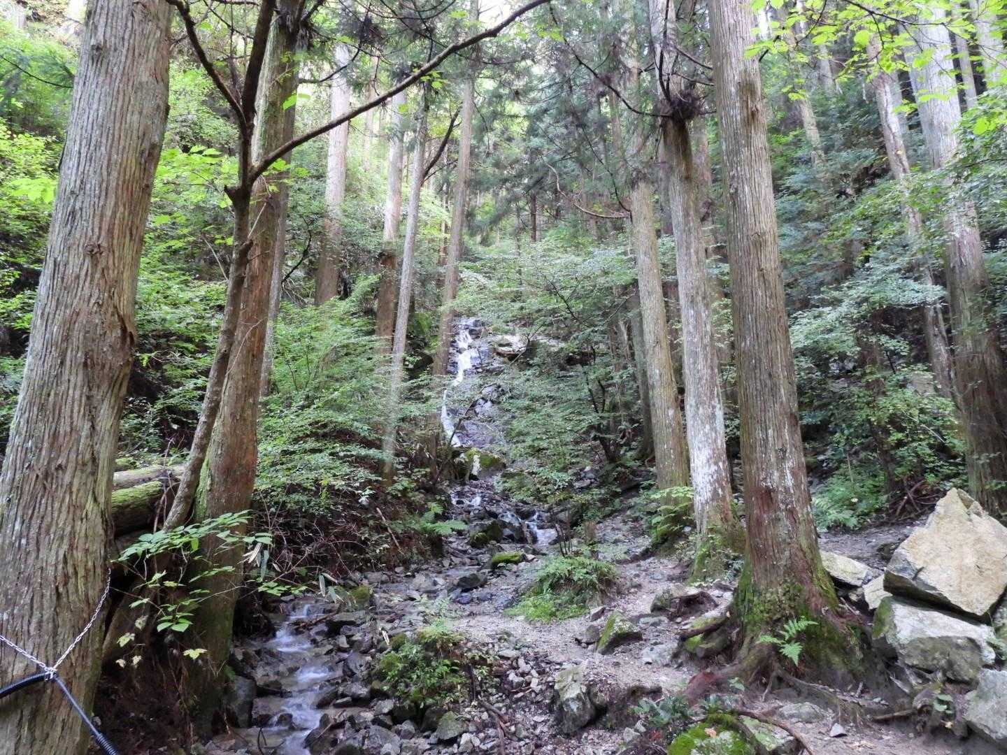 細尾谷の滝
