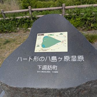 山頂から見たら
ハート🧡に見えたよ