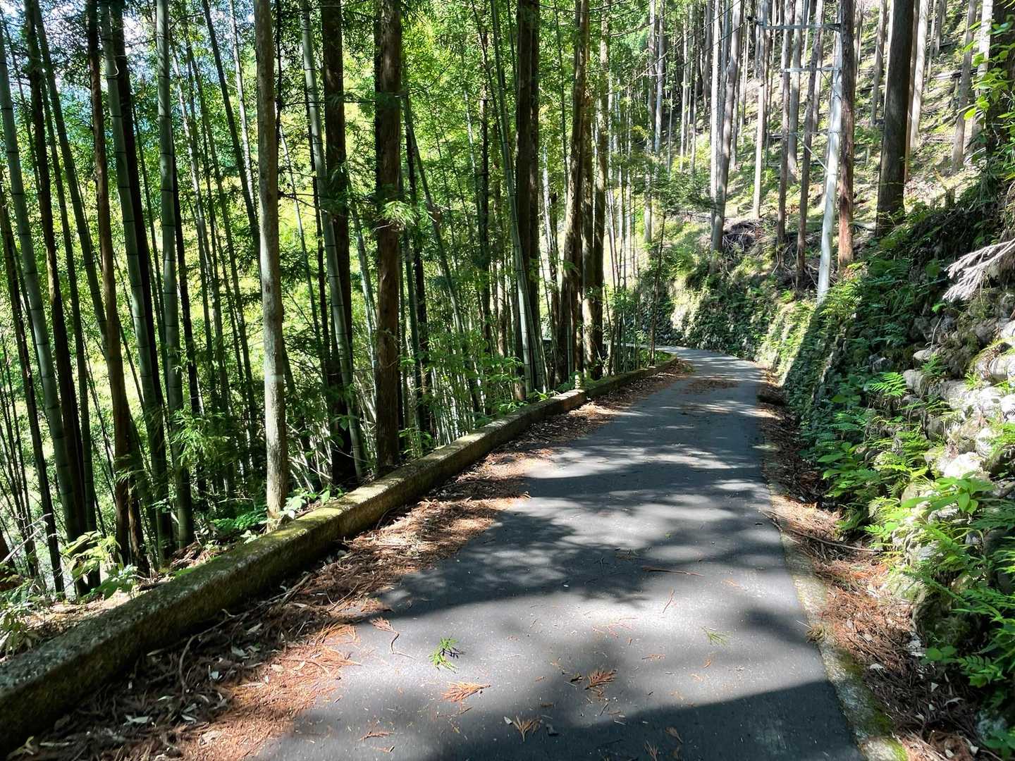 ここから車道歩き