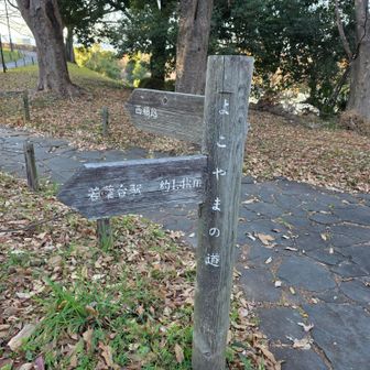 ここから｢よこやまの道｣を歩きました