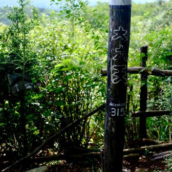 大六天、315m