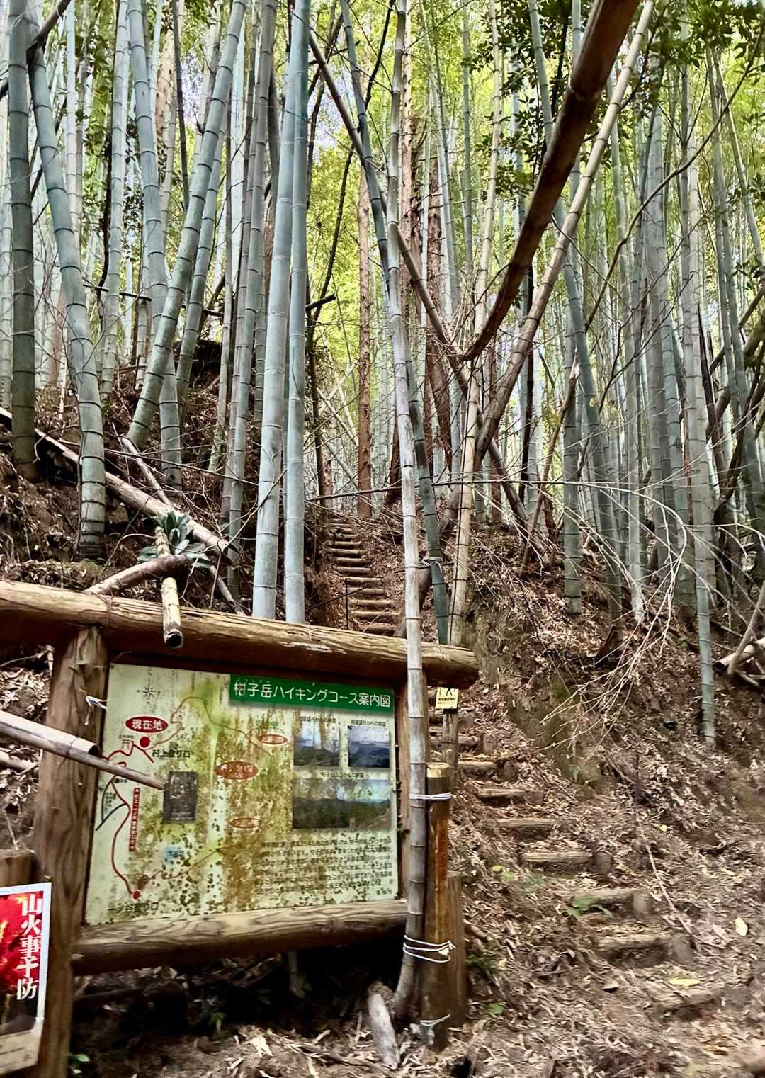 激下りを経て
無事村上登山口に降りてきました🥾

ここは荒れ気味💦