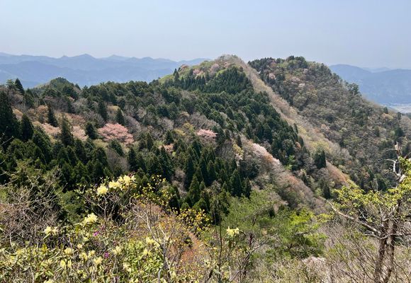 ニの山（兵庫・298m）| 登山ルート・天気 | YAMAP / ヤマップ