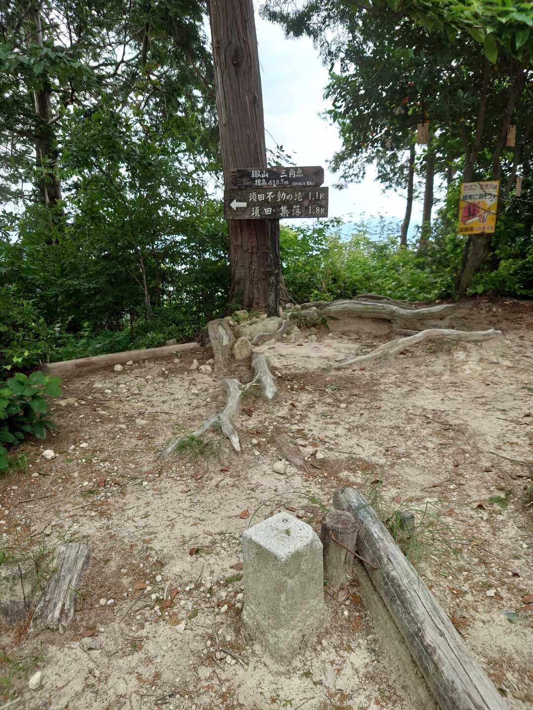 繖山（観音寺山）の写真