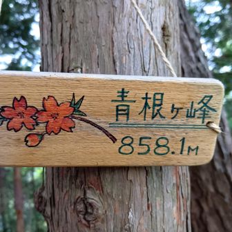 去年来た山

大峯奥駈道を