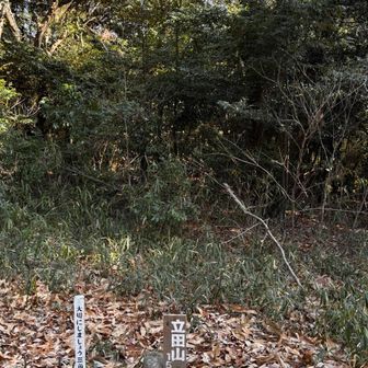 眺望なしの山頂でした。