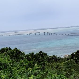 伊良部大橋
全長3540m
お天気さえ良ければ歩いて渡りたかった！悔しい！