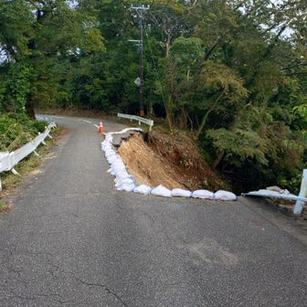道が崩れている
大師ヶ岳登山口の北側100mの場所です。