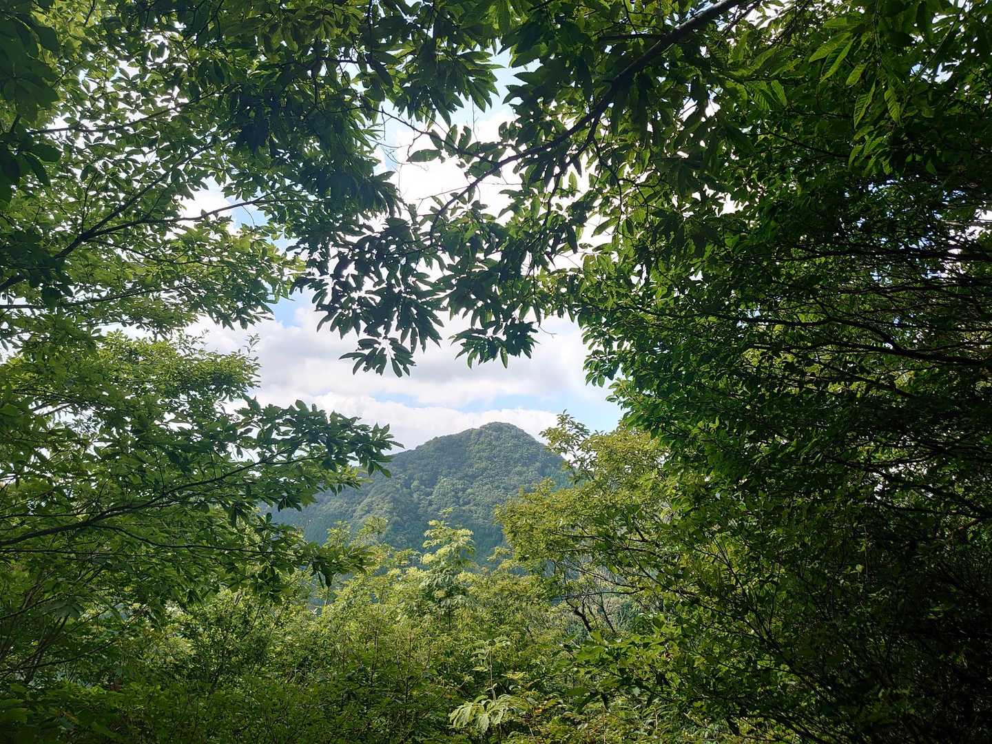莇ヶ岳 周回コースの写真