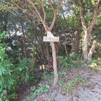 またの名を準堤山？小月20名山とある