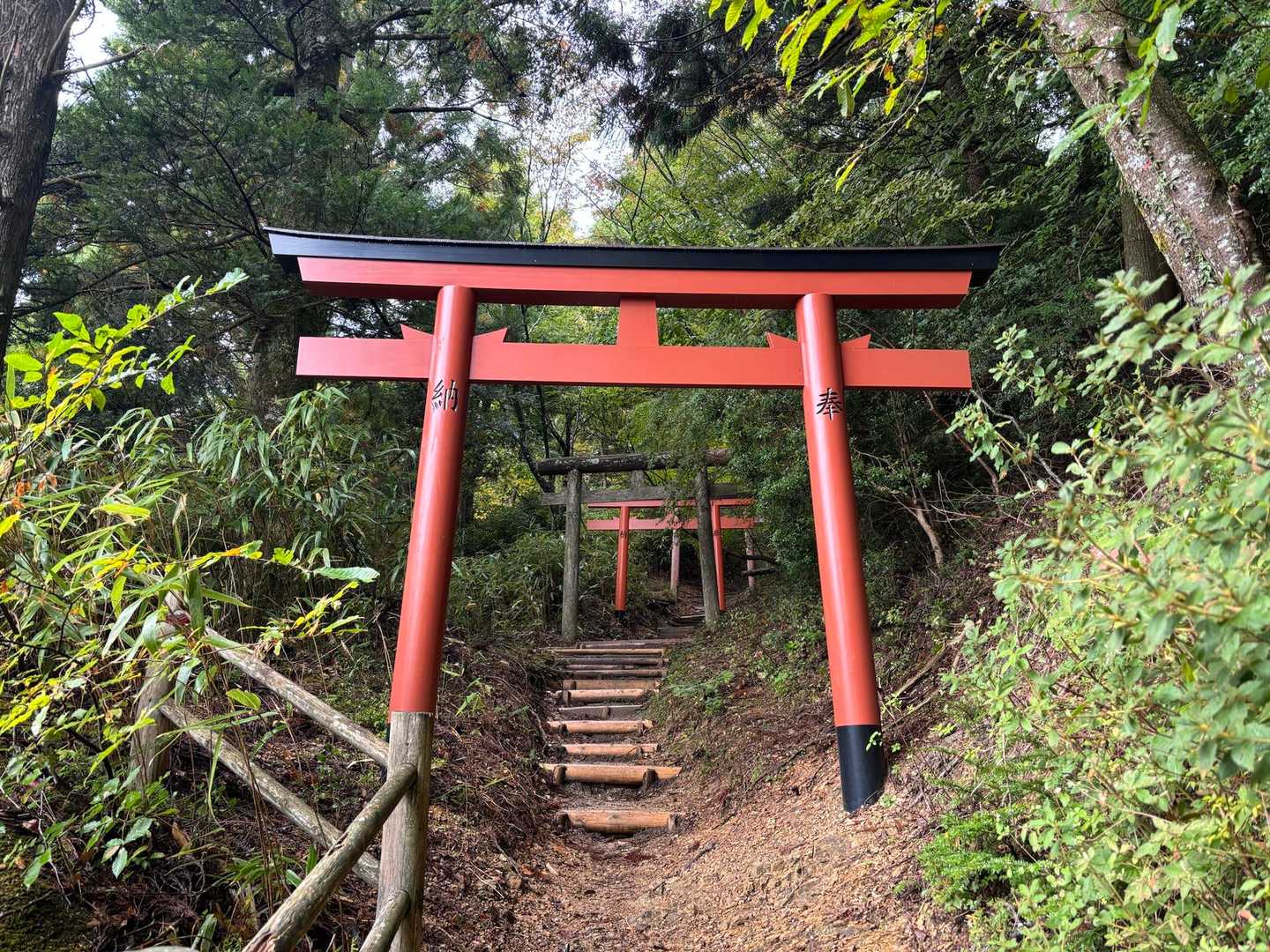摩尼峠-摩尼山-黒河峠-楊柳山-子継峠-転軸山-女人堂-弁 周回コースの写真