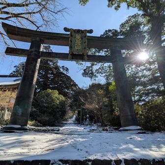 銅の鳥居から　参道は雪景色