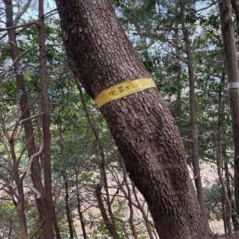 小富士山山頂です🏔️