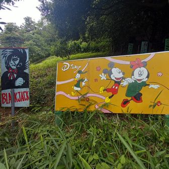 ディズニー&ブラックジャック🪒