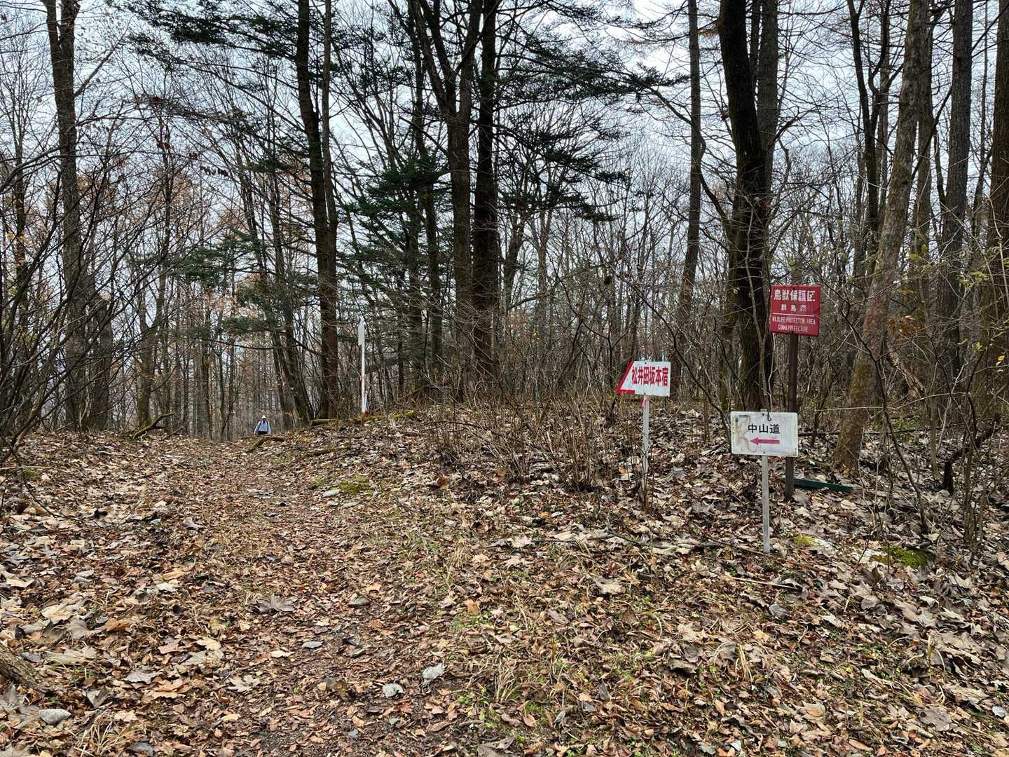 お店を出て、再び登山道へ。
標識も結構あるので分かりやすい道です