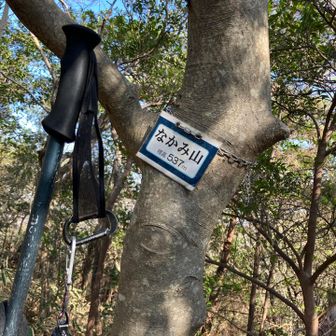 すぐになかみ山がありましたが、YAMAPなければ通り過ぎてしまいそうです！