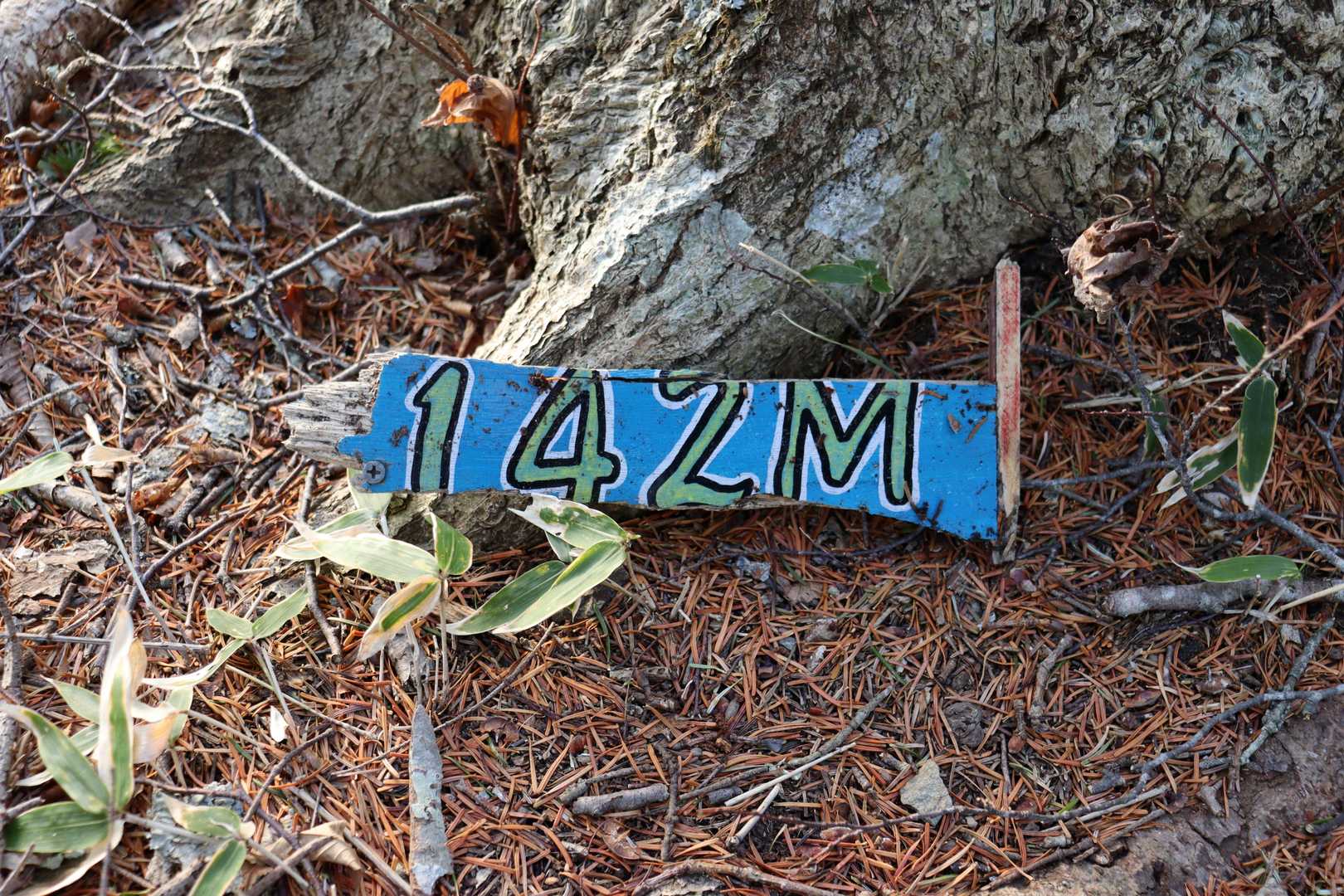 丸山（えりも町） / ホップさんの豊似岳の活動データ | YAMAP / ヤマップ