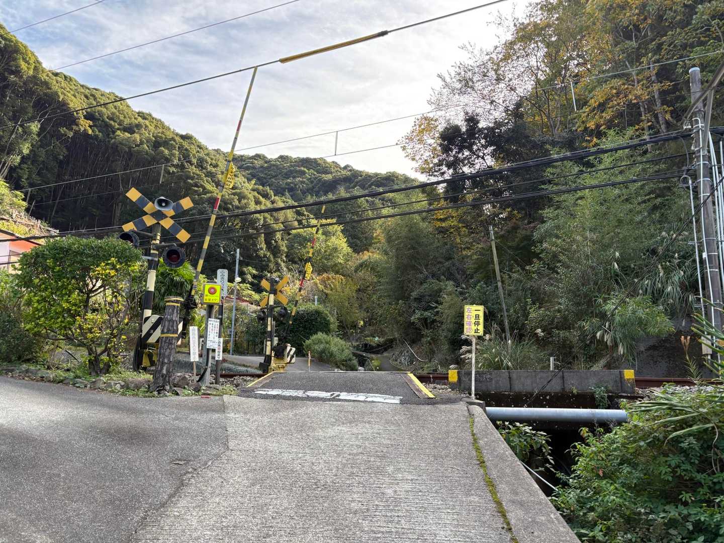 踏切を渡った先に登山口がありました。