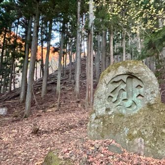 まぁまぁそう言わずに良い汗流して登りまひょ♪