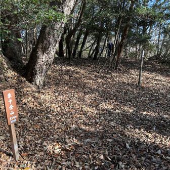 東中倉山に着いた。514m