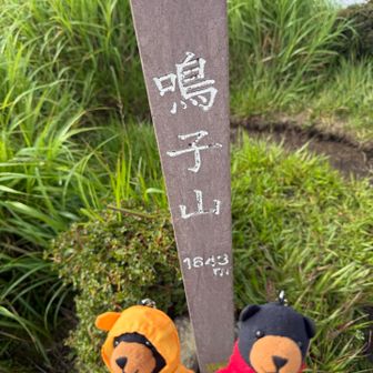 真っ白すぎて眺望なし

本当は絶景らしいですね