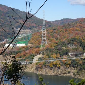 日本最長の歩く吊り橋。有料