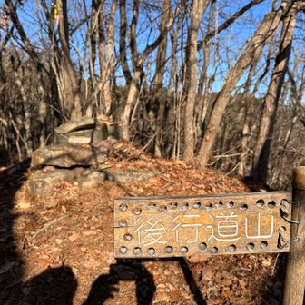 後行道山は展望なし