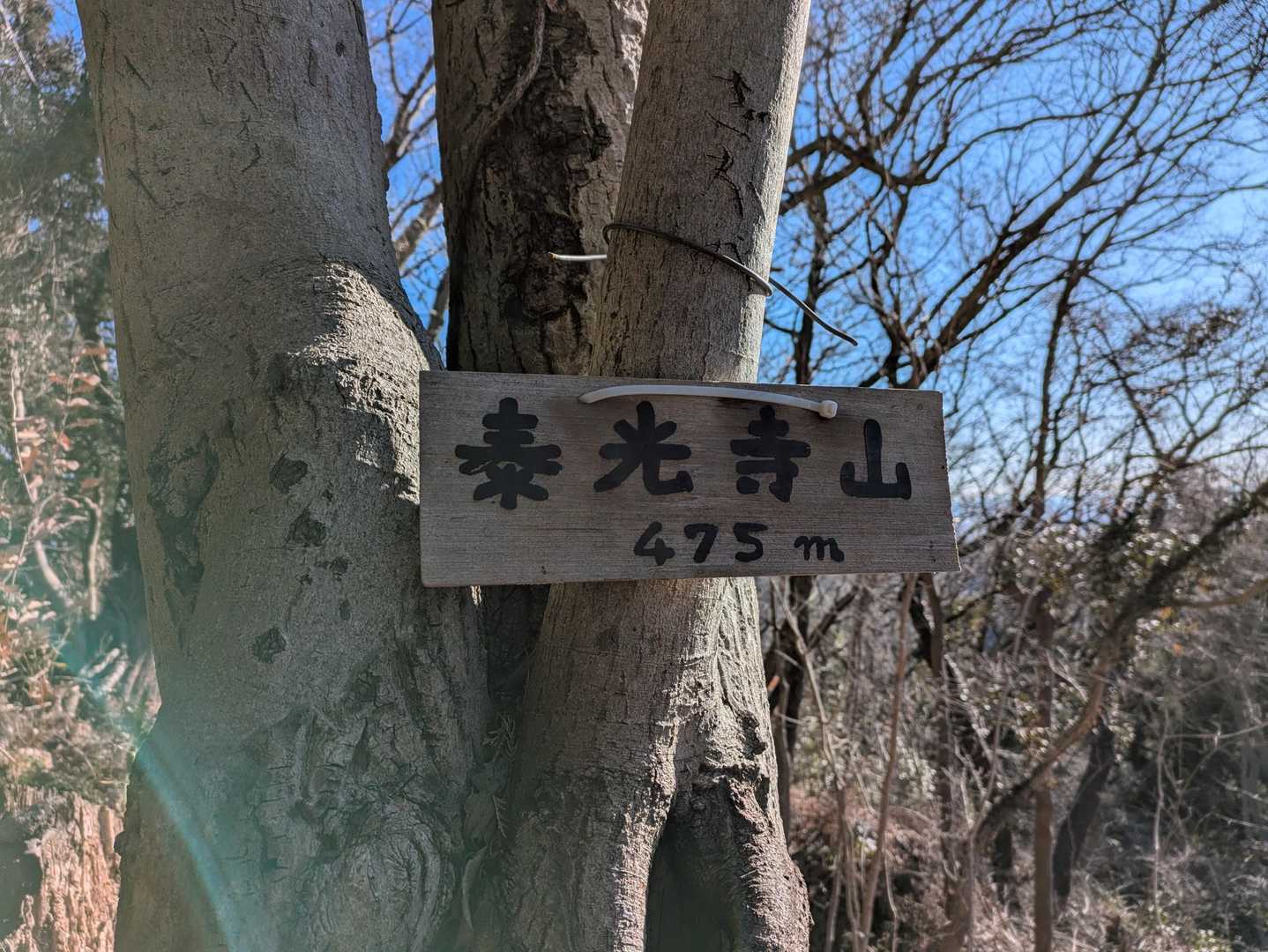 泰光寺山到着