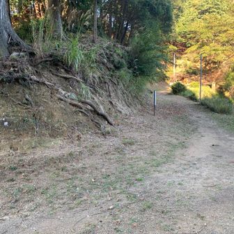 ここまで来れば安心です。