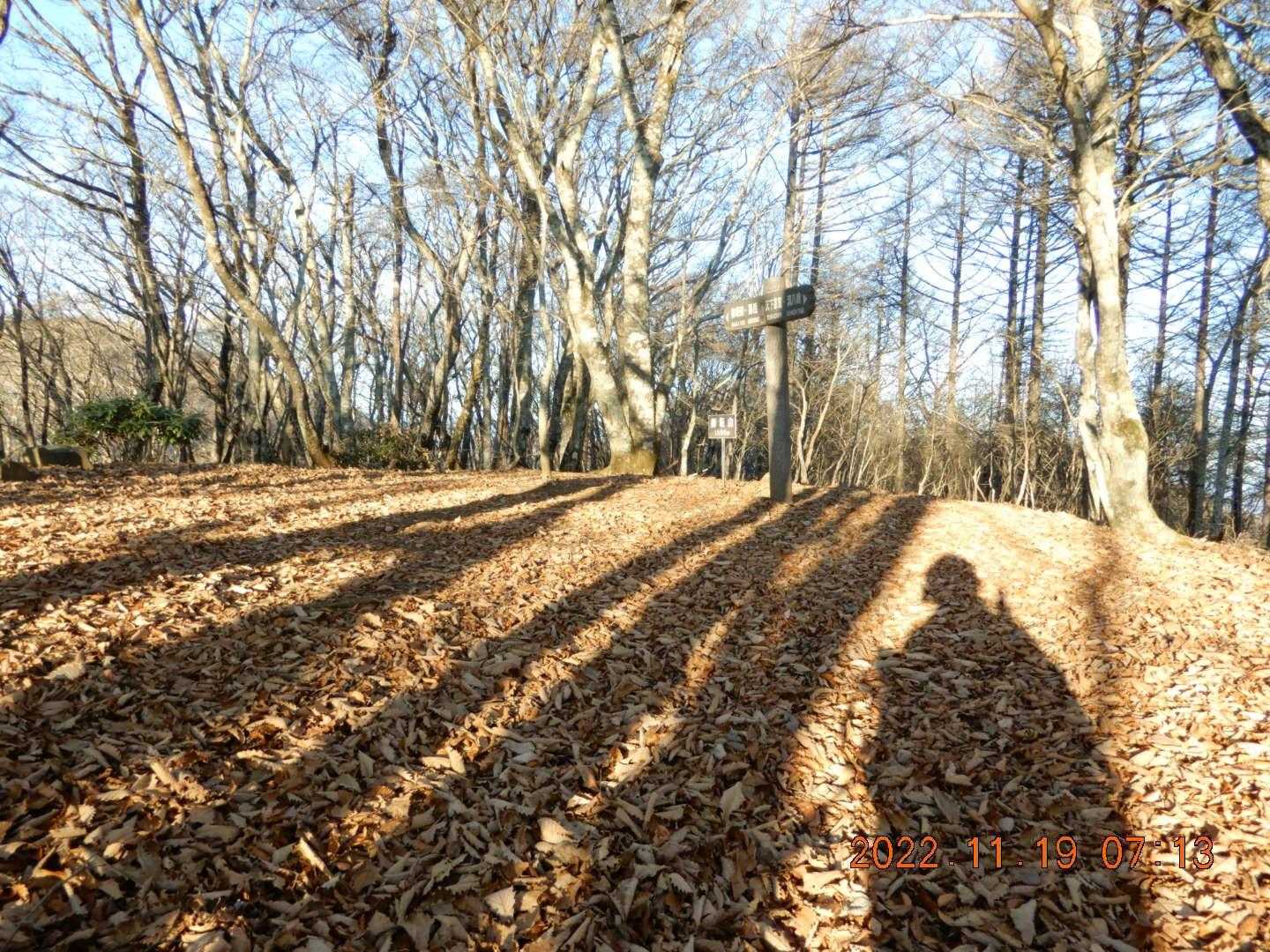 御坂山到着、広くなだらかですが眺望はない