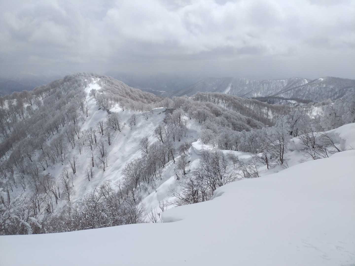 1381峰を振り返る