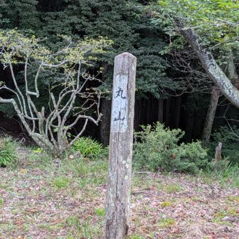 丸山