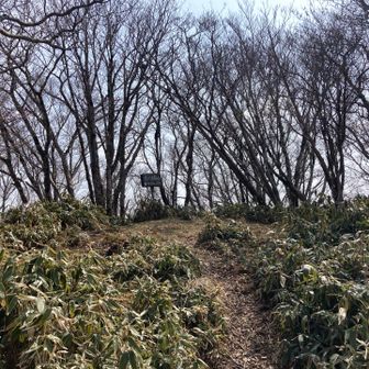 佐々連尾山山頂