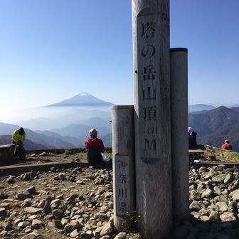 りんごりんご