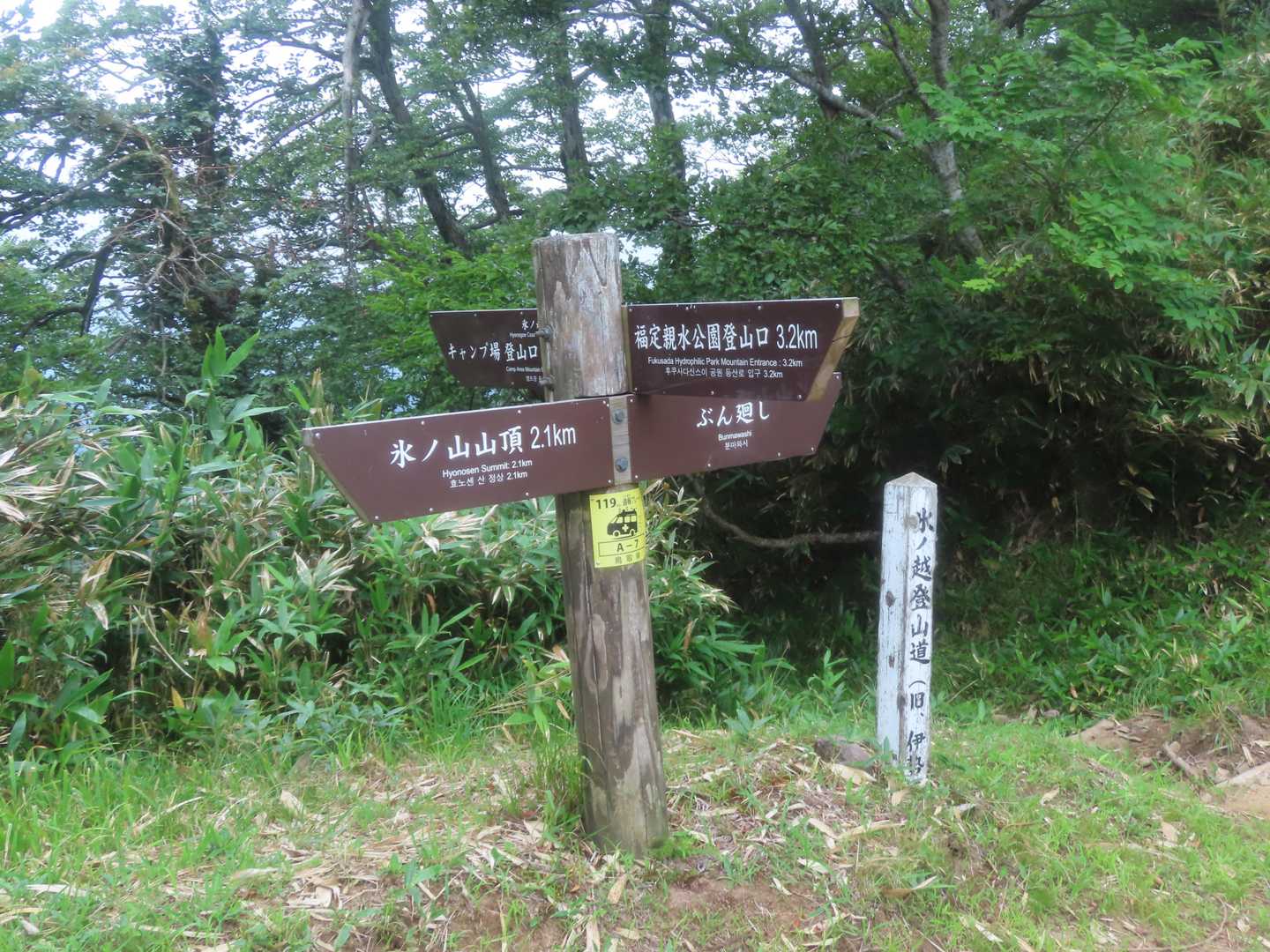 ぶん廻しは…パス😢