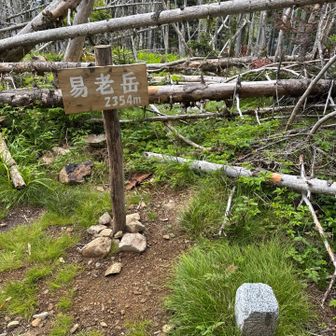 私たちは雨が降り出す前にと必死で降る