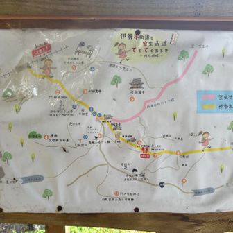 伊勢本街道🚩と室生古道🚩の看板🪧