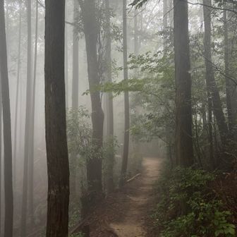 こんな幻想的な猿投山は初めて🫠
フォグランプ点灯🔦