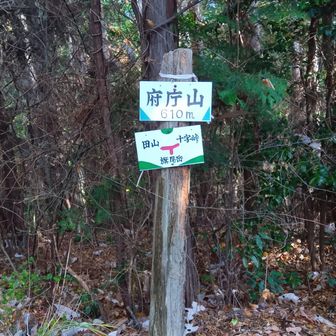 府庁山 到着☝️