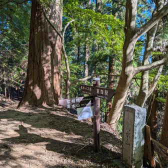 常福院の山門への階段下。TVドラマ「下山メシ」は成木方面から来てたはず。